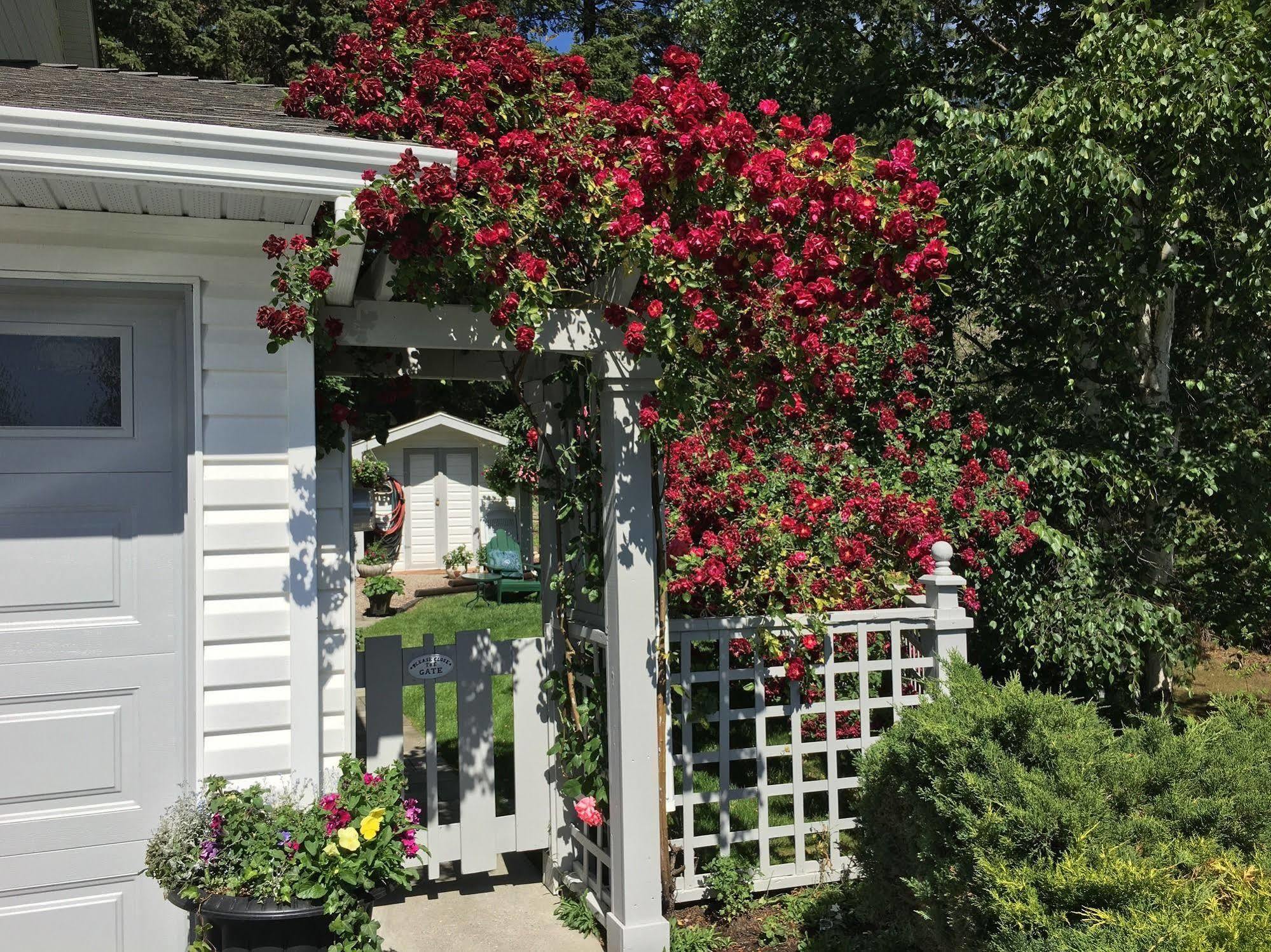 Alexandria House Bed & Breakfast West Kelowna Dış mekan fotoğraf